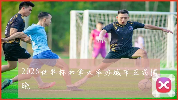 2026世界杯加拿大举办城市正式揭晓