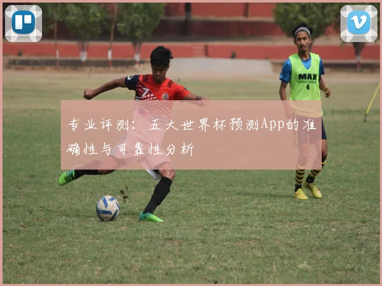 专业评测：五大世界杯预测App的准确性与可靠性分析