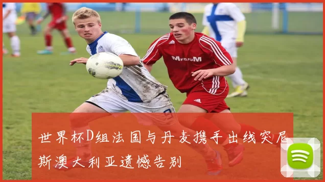 世界杯D组法国与丹麦携手出线突尼斯澳大利亚遗憾告别