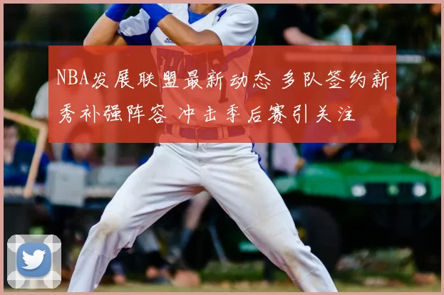 NBA发展联盟最新动态 多队签约新秀补强阵容 冲击季后赛引关注