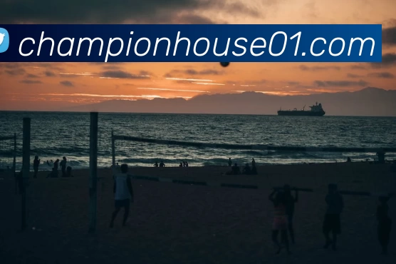 mk体育官方网服务体系